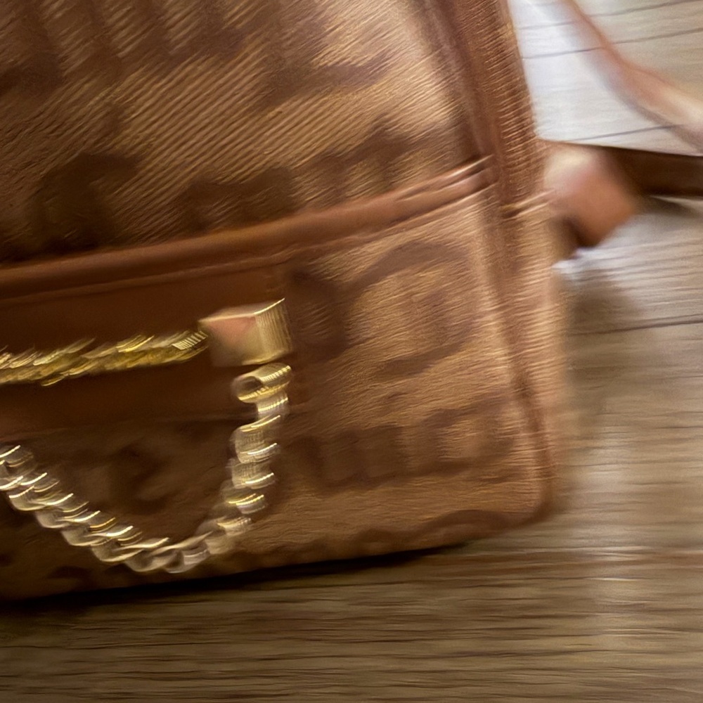 Juicy Couture Hang Around Mini Backpack Chestnut Chino Logo 11JCC5QJC-OGC NEW - Picture 3 of 7